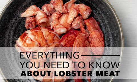 Everything You Need to Know About Lobster Meat - Maine Lobster Now