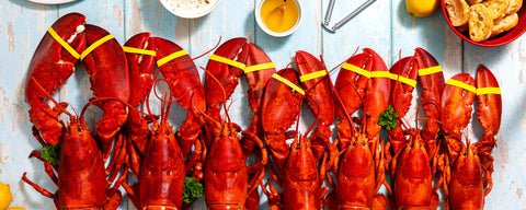 金刚电竞（china）🏆体育·电竞 | 🏆棋牌·真人 | 🏆彩票·六合 | 🏆电子·捕鱼 lobster done right.